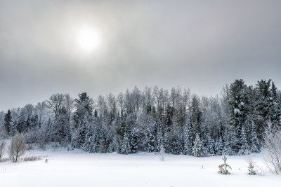 A frosty winter morning