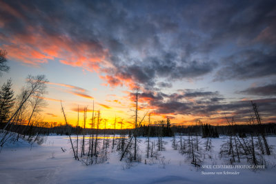 Sunset colors