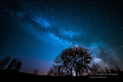 March Milky Way