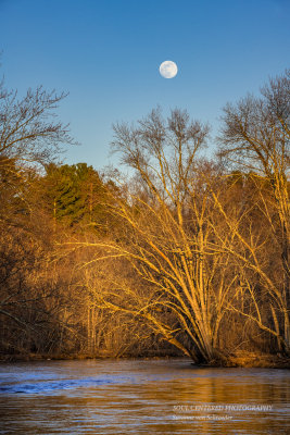 Full moon rising