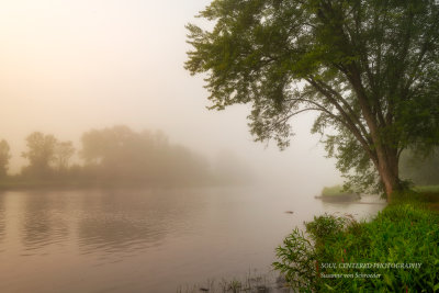 Foggy morning at the Chippewa river 1