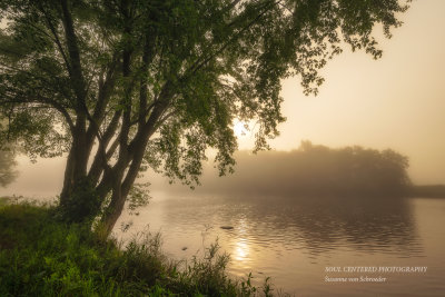 Foggy morning at the Chippewa river 2