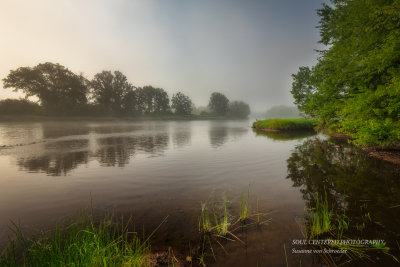 Foggy morning at the Chippewa river 5