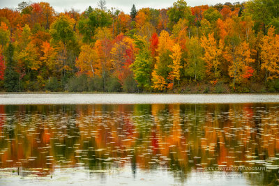 Fall color reflections 2
