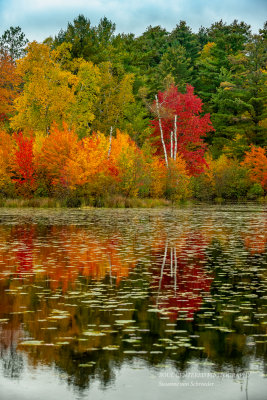 Fall color reflections 3
