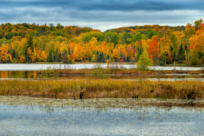 Fall scene at Audie Lake