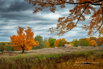 Rural Autumn scene