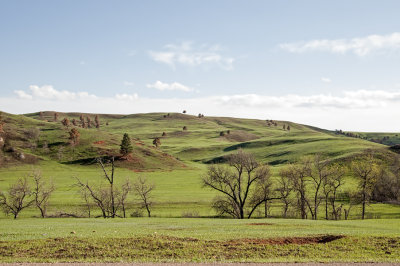 Wildlife Loop