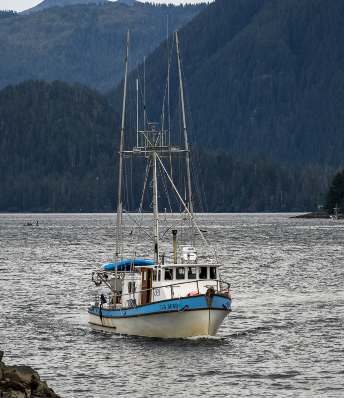 Sitka