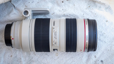 MW-0006.jpg