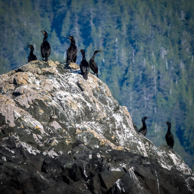 Gwaii Hannas Nat'l Park