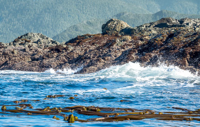 Gwaii Hannas Nat'l Park