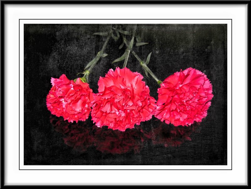 Carnations...