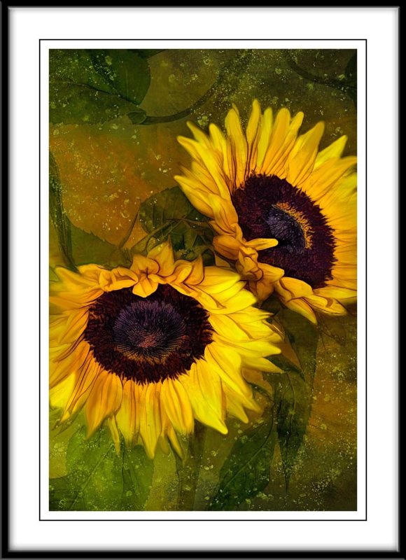 Sunflowers....