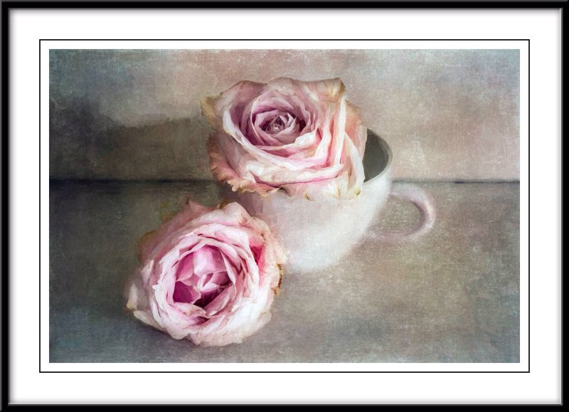 Two pink roses.....
