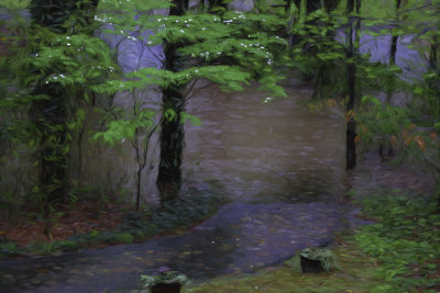 Flooded driveway, via Van Gogh :)
