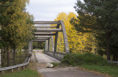 The bridge1.jpg