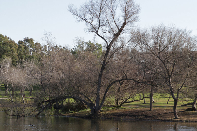 Lakeside