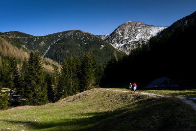 Jaworzynka Valley at around 1100m, behind on the right Kopa Magury 1702m, Tatra NP