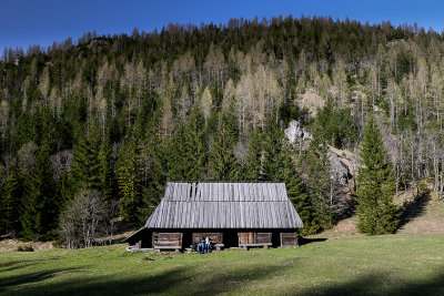 Jaworzynka Valley at around 1100m, Tatra NP