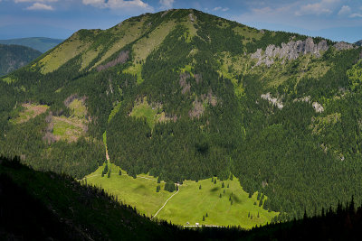 Looking towards Bobrowiec 1664m over Chocholowska Meadow 1100m, Tatra NP