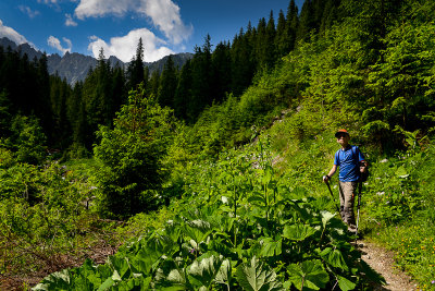 Alex, Javorova Valley, Tatra NP