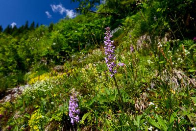 Javorova Valley, Tatra NP