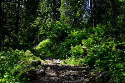 Javorova Valley, Tatra NP