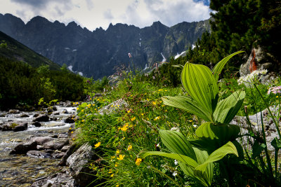 Javorova Valley, behind Javorove stity with the highest Maly Javorovy stit 2380m on the left, Tatra NP 