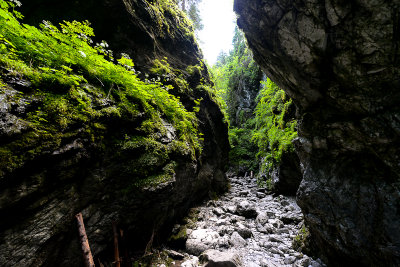 Cracow Gorge, Koscieliska Valley, Tatra NP