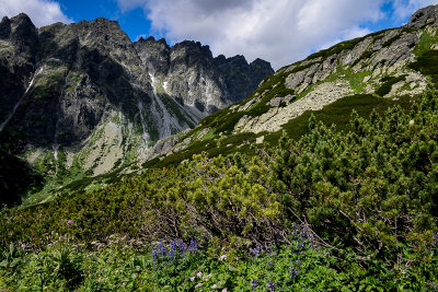 Mengusovska Valley with Satan 2421m behind on the left, Tatra NP