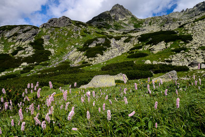 Mengusovska Valley, Tatra NP