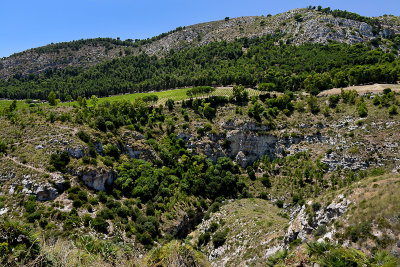 Segesta