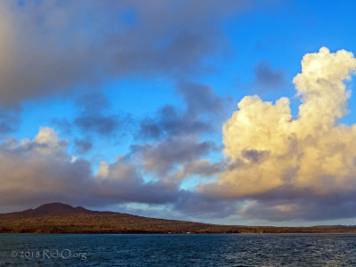 Rangitoto Island
