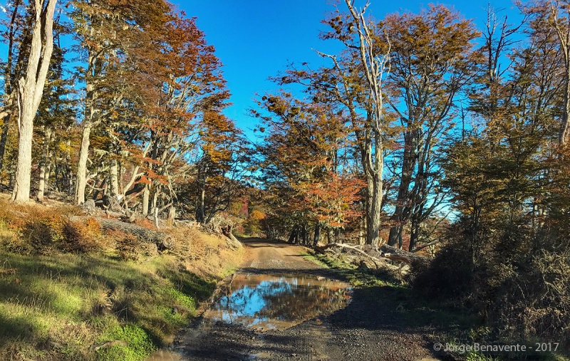 Lago Blanco, Tierra del Fuego, Chile