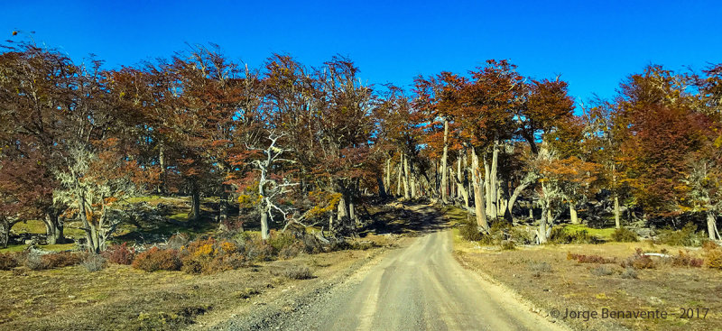 Lago Blanco, Tierra del Fuego, Chile