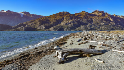 Caleta Maria, Tierra del Fuego, Chile