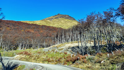 Camino a Caleta Maria, Tierra del Fuego, Chile