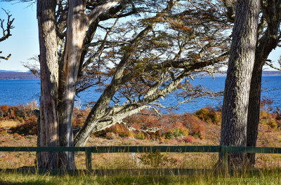 Lago Blanco, Tierra del Fuego, Chile