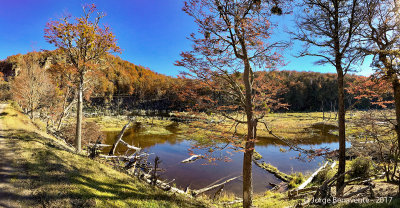 Valle de los Castores, Lago Blanco, Tierra del Fuego, Chile