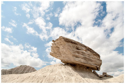 Toadstool Park