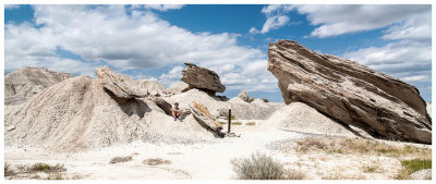 Toadstool Park