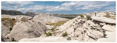 Toadstool Park