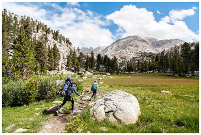 Pretty meadow near Soldier Lakes Junction