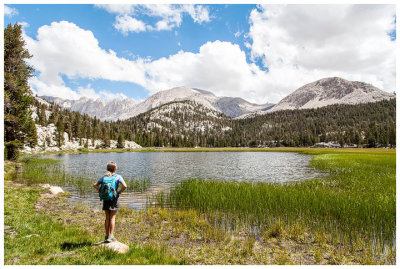 Admiring the meadow