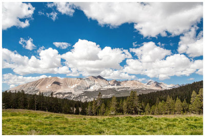 Meadow with a view