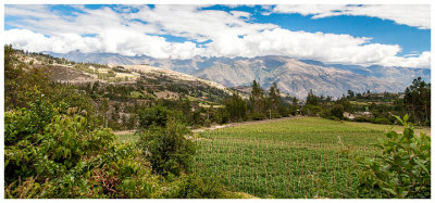 Farmland and the Cordillera Negra