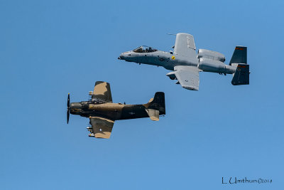 A-10 Warthog & A-1 Skyraider