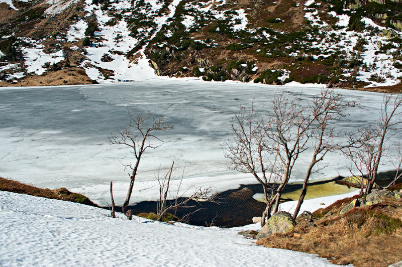 The Small Pond Still Under Ice