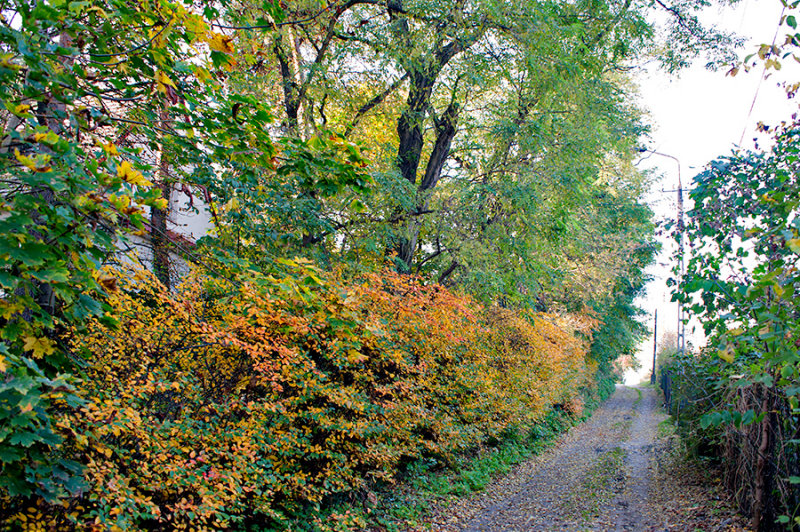 Old Unpaved Road